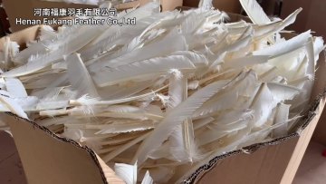 Wholesale Fletching Feathers 5