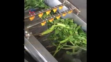Vegetable Washer Fruit Washing Machine