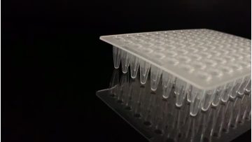 0.2ml 96-Well PCR plate  Without Skirt  Transparent