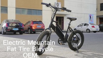MB005 electric bicycle mtb ebike full suspension ebike fat tire electric mountain bicycle Beach electric bike1