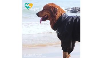 dog raincoat that covers belly