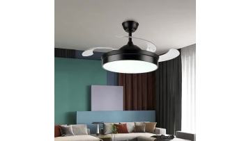 Fan ceiling light