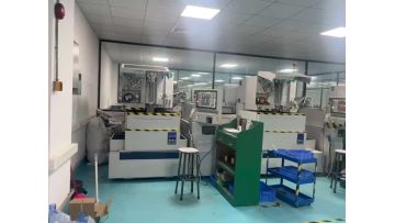 Mould Processing