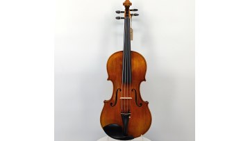 viola-HLA-1