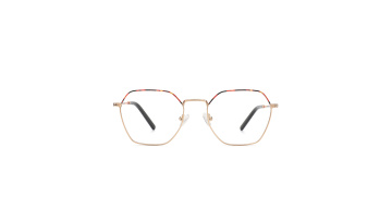 Popular Custom Fashion Metal Frame Reading Optical Glasses For Men1