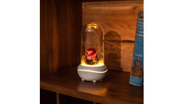 X005 Rose Aroma Diffuser Fragrance Lamp 