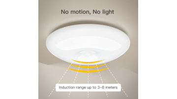 DMK-032PL Wireless Rechargeable Ceiling Light