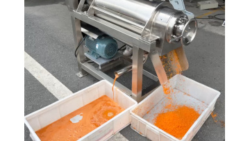 ST-1.5T Carrot Juice Extractor