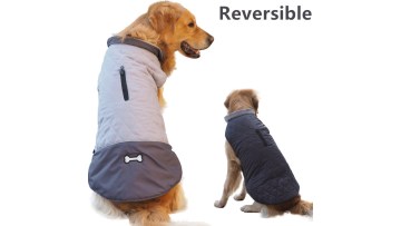 quality pet clothing