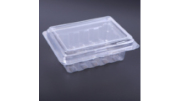 Various high-quality and exquisite blister PET plastic boxes, blister inner support electronic products1