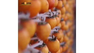 dried persimmon