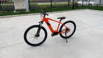 Electric Mountain Bike MC01