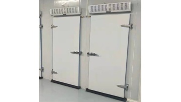 Cold room insulated swinging doors