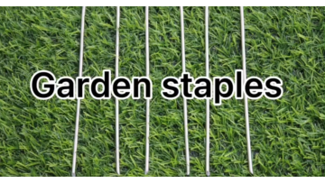 wholesale u steel shaped nail glass garden stakes metal for Tent fixed Galvanized Garden Staples1
