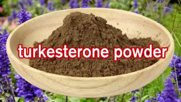 turkesterone powder