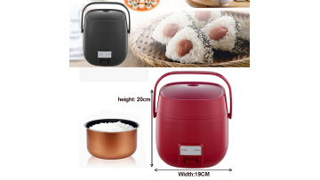 FG-01 Mini cooker