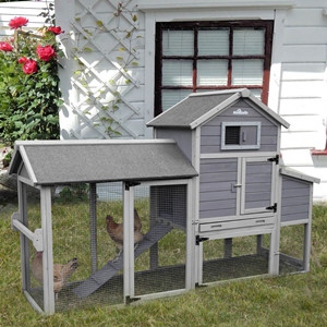 chicken house with nesting box