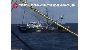 Tropical Food Ningbo Factory Canned Tuna Processing.mp4