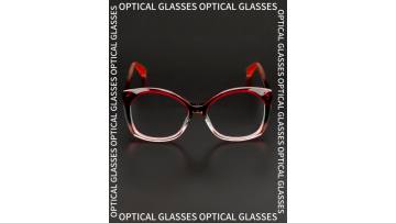 Optical Frames 23A3084