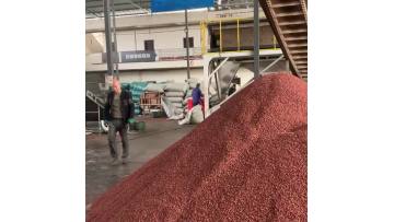 Red pepper drying production process