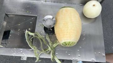 ST-ZXP Cantaloupe Peeling Machine