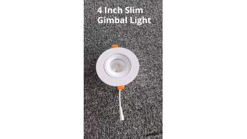 slim gimbal light
