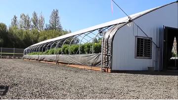 black out greenhouse