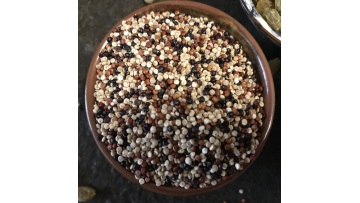 5701 tri color quinoa grain