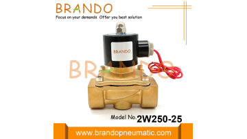 2W250-25 1'' Brass Solenoid Valve