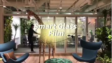 Privacy Switchable Glass Film