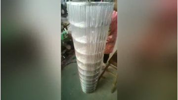 Wholesale 1/2 Inch*4 Inch Galvanized Welded Wire Mesh After Welding For Bird Cage Metal Mesh1