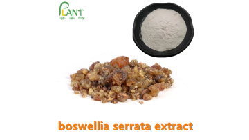 boswellia serrata extract powder