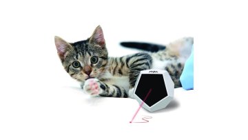 cat electronics toys