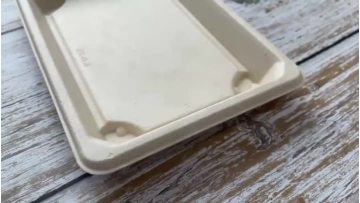 Compostable 08 sushi tray