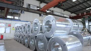 Galvanized Steel Coil Factory Hot Dippedcold Rolle