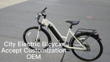 CB0003 e bike 12inch 14inch 16inch 20inch 250w 350w 500w 600w portable electric bicycle folding electric bike1