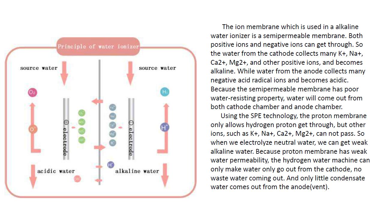 kangen water machine alkaline water ionizer purifier japan
