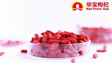 19. Dried Goji Berries Video Show-Ningxia Red Power Goji Co., Ltd.mp4