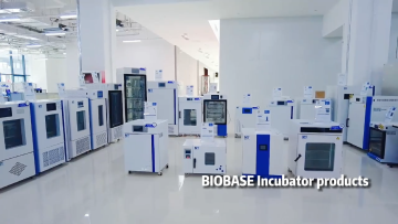 BIOBASE China manufacturer  LCD display 25L 212L  Forced Air Drying Oven for laboratory1