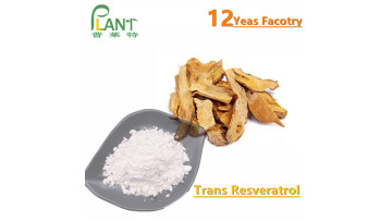 resveratrol powder trans 99%