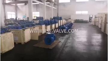 RSF VALVE_Water Valve Factory.mp4