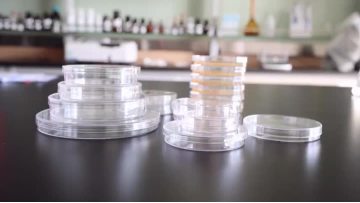 Petri Dish Sizes Video