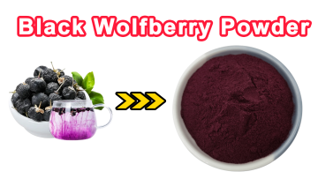Black Wolfberry Powder