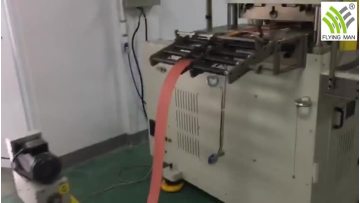 ENZO-350 Perforation Die Cutting Machine With Logo.mp4