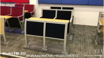 University lecture hall chair