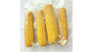 6701 high quality yellow sweet corns