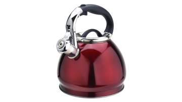 FH-429 zinc alloy handle red water kettle