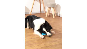 DOG CHEW BONE TOY WITH BEEF FLAVOR