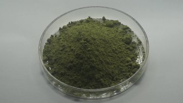 High Purity Food Grade Organic Freeze-Dried Spinach Powder/Bulk Spinach Powder/Spinach Juice Powder1