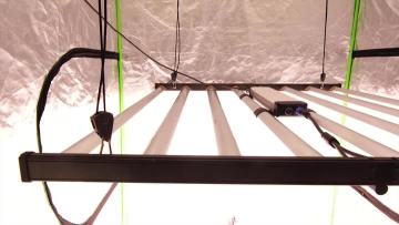 foldable led grow light LED.mp4